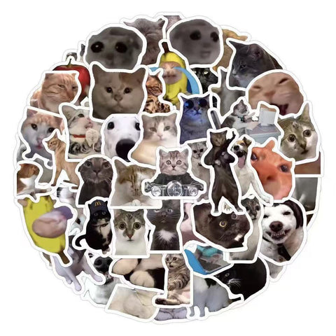 Cute Cat Stickers Pack