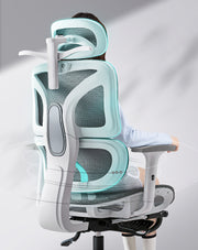Ultimate Ergonomic Desk Chair