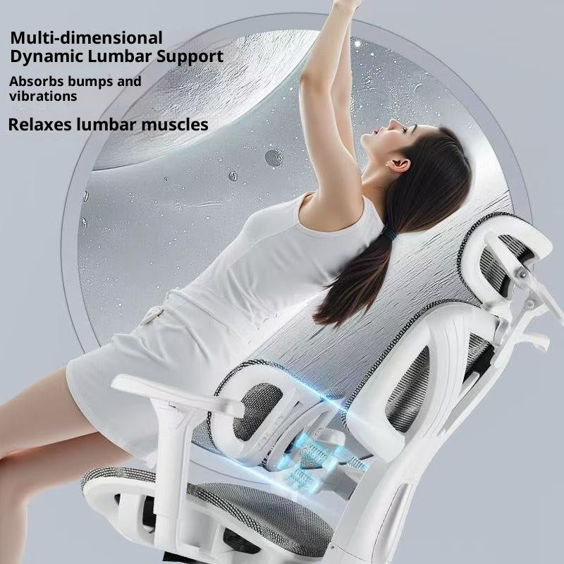 Ultimate Ergonomic Desk Chair