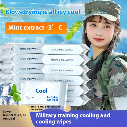 Portable & Cooling Wet Wipes, Mini Single-Use Tissues, Refreshing & Menthol Scent, 64-Count Family Pack.