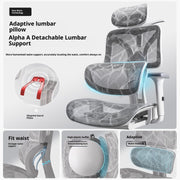 Ultimate Ergonomic Desk Chair
