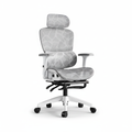 Ultimate Ergonomic Desk Chair