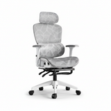 Ultimate Ergonomic Desk Chair