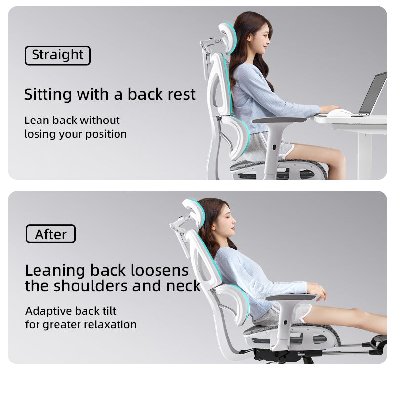 Ultimate Ergonomic Desk Chair