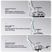 Ultimate Ergonomic Desk Chair