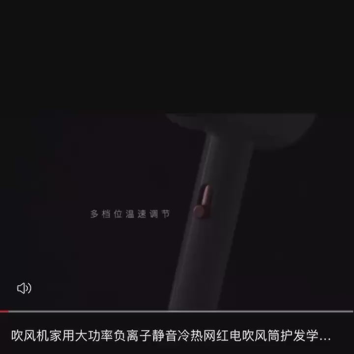 Professional Ionic Hair Dryer High Speed Brushless